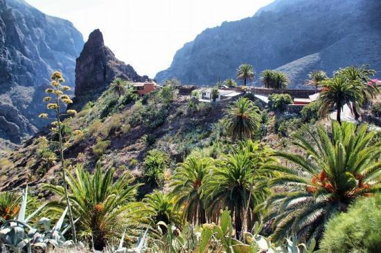 Marody Tenerife House Ελ Μέντανο Εξωτερικό φωτογραφία